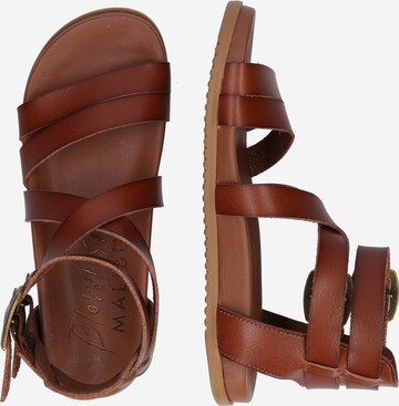 Blowfish Malibu Sandalen met riem 'CANDIE' in Bruin