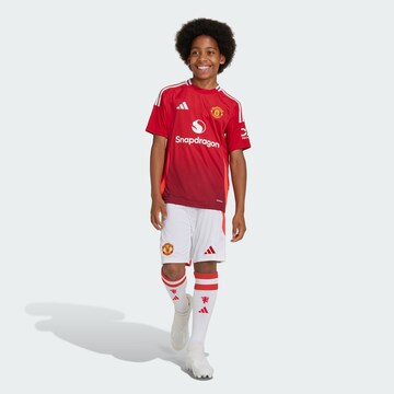 Regular Pantalon de sport 'Manchester United 24/25' ADIDAS PERFORMANCE en blanc