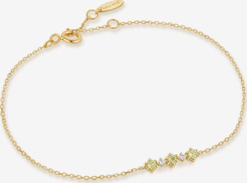 ANIA HAIE Bracelet in Gold: front