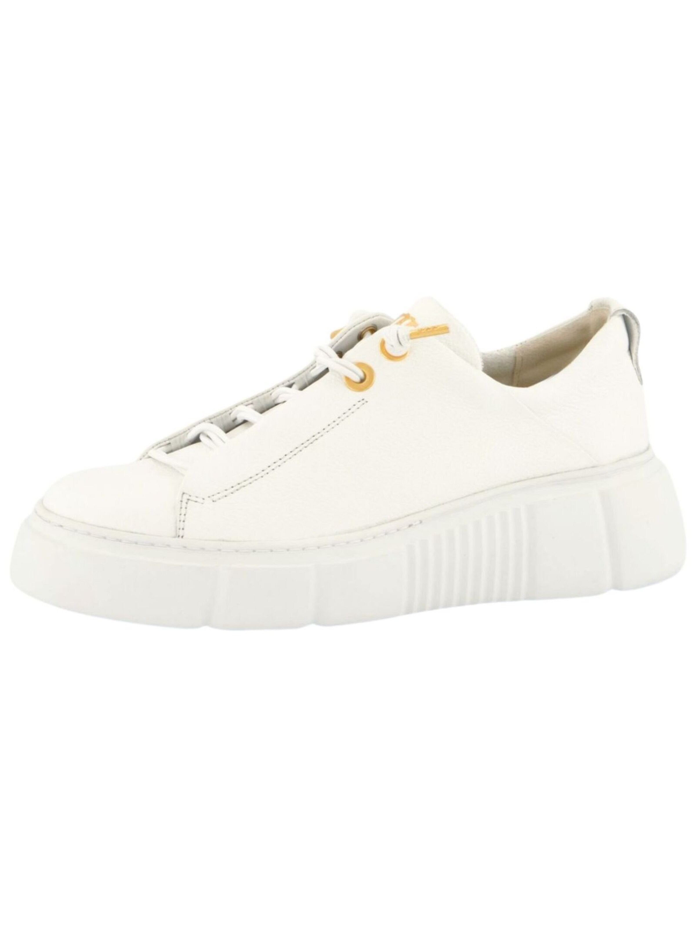 Paul Green Σνίκερ χαμηλό σε λευκό: μπροστά