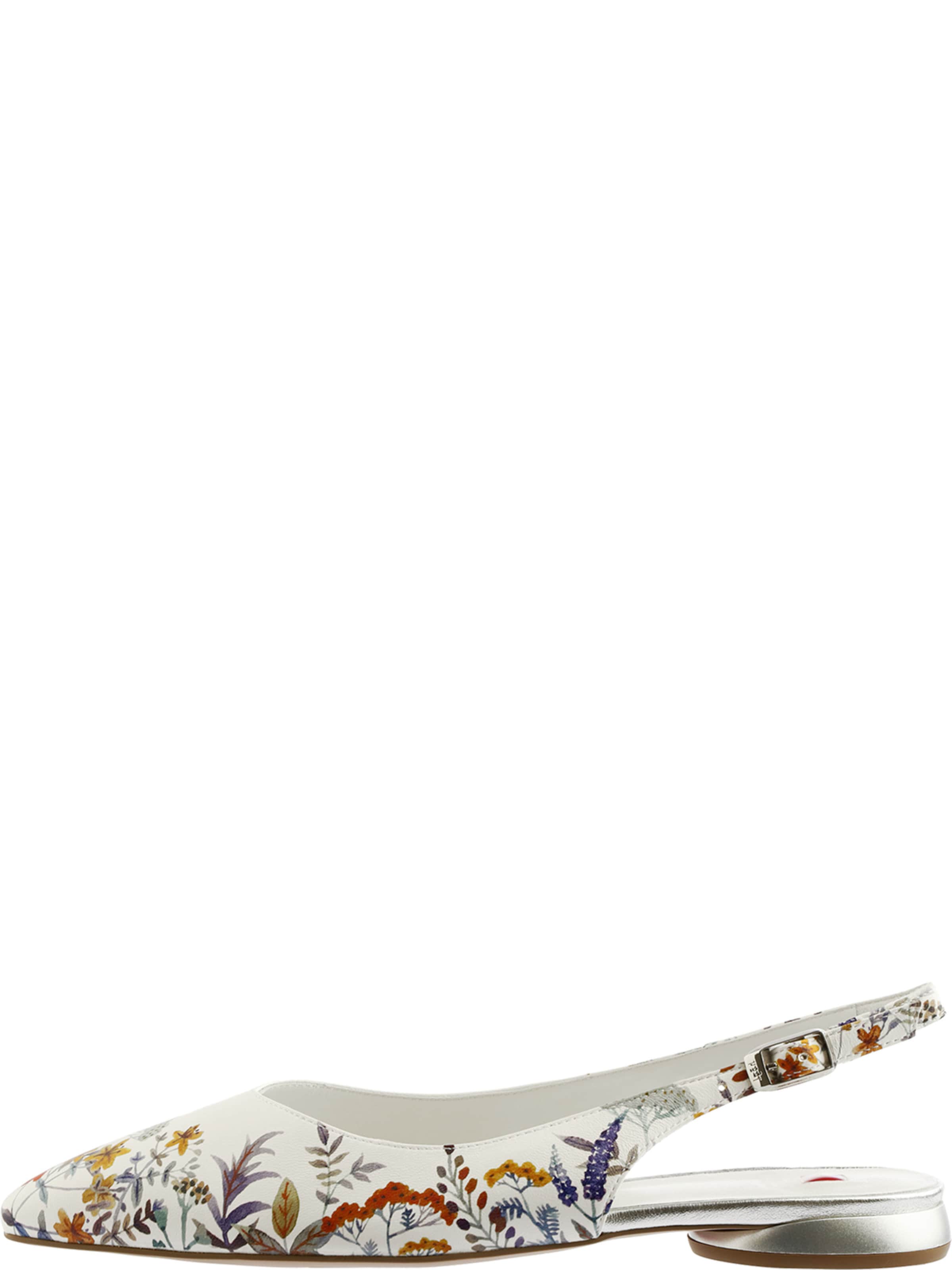 Ballerines à lanières 'Mona' Högl en mélange de couleurs : devant