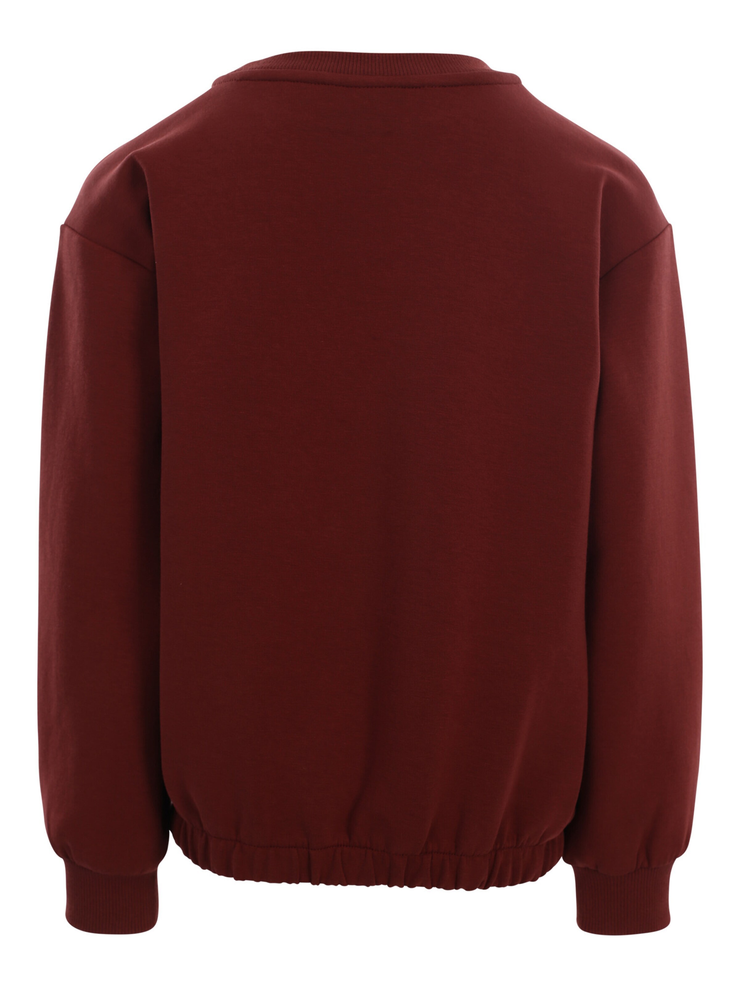 Looxs Revolution Sweatshirt in Bruin