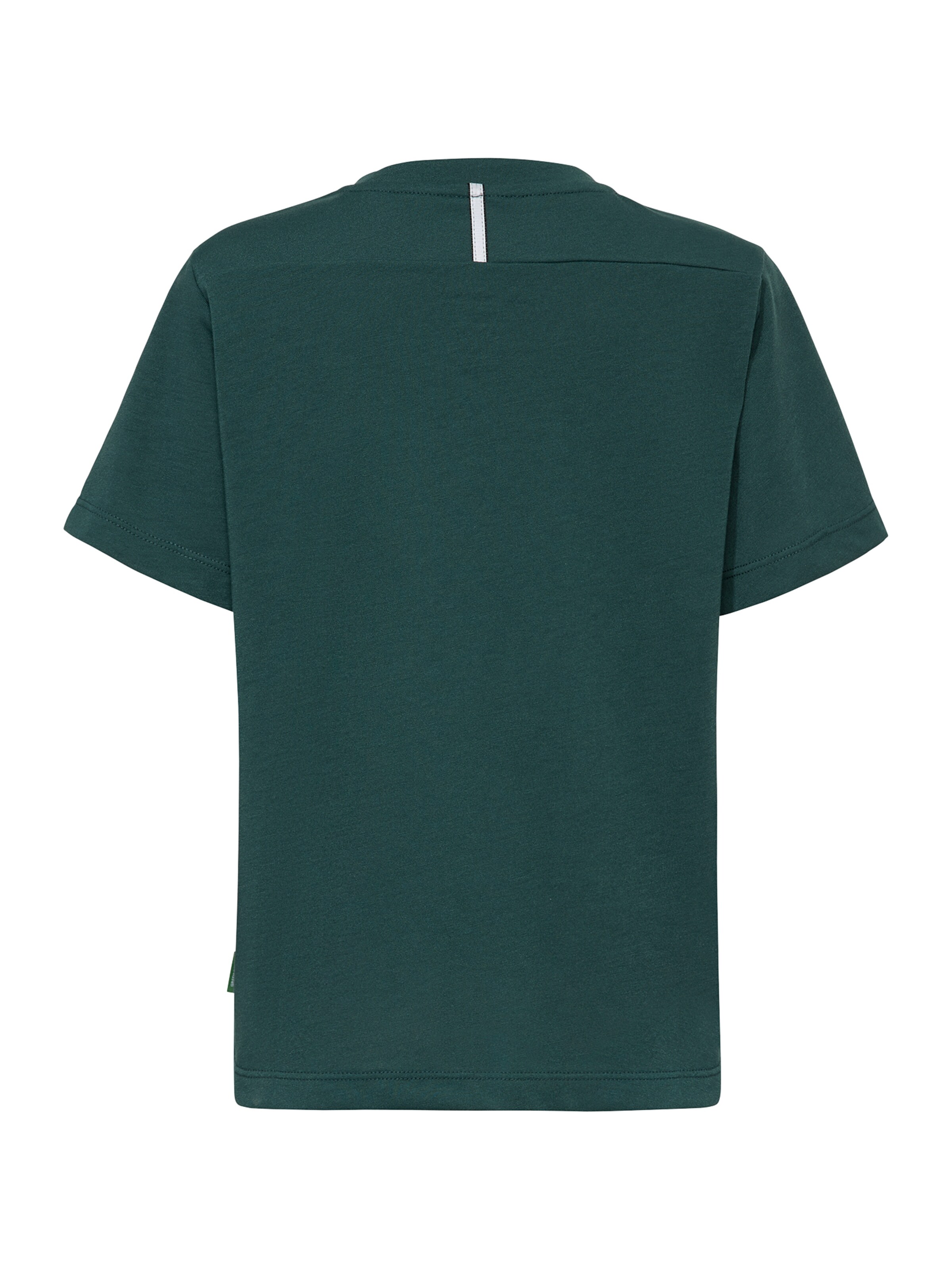 VAUDE Shirt 'Rokua' in Green