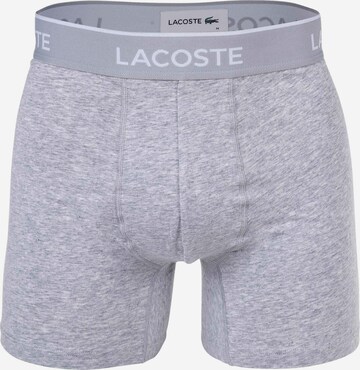 Boxers LACOSTE en gris