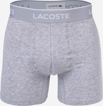 LACOSTE Boxer shorts in Grey