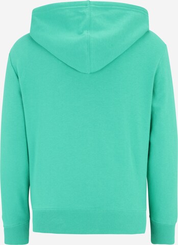 Gap Petite Sweatshirt 'HERITAGE' in Groen