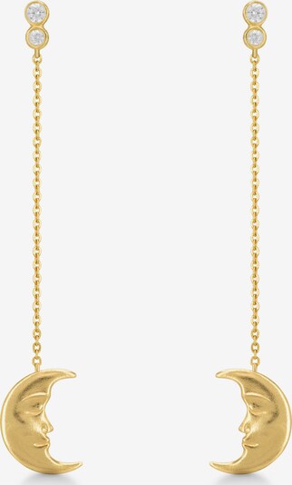 Polar Jewelry Oorbellen in de kleur Goud, Productweergave