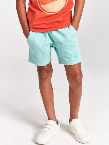 Shiwi Regular Trousers in Blue