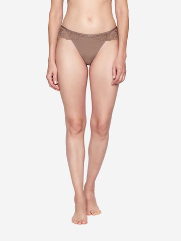 Slip ' Charming ' JOOP! en marron : devant