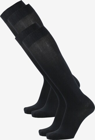 ROGO Knee High Socks in Black: front