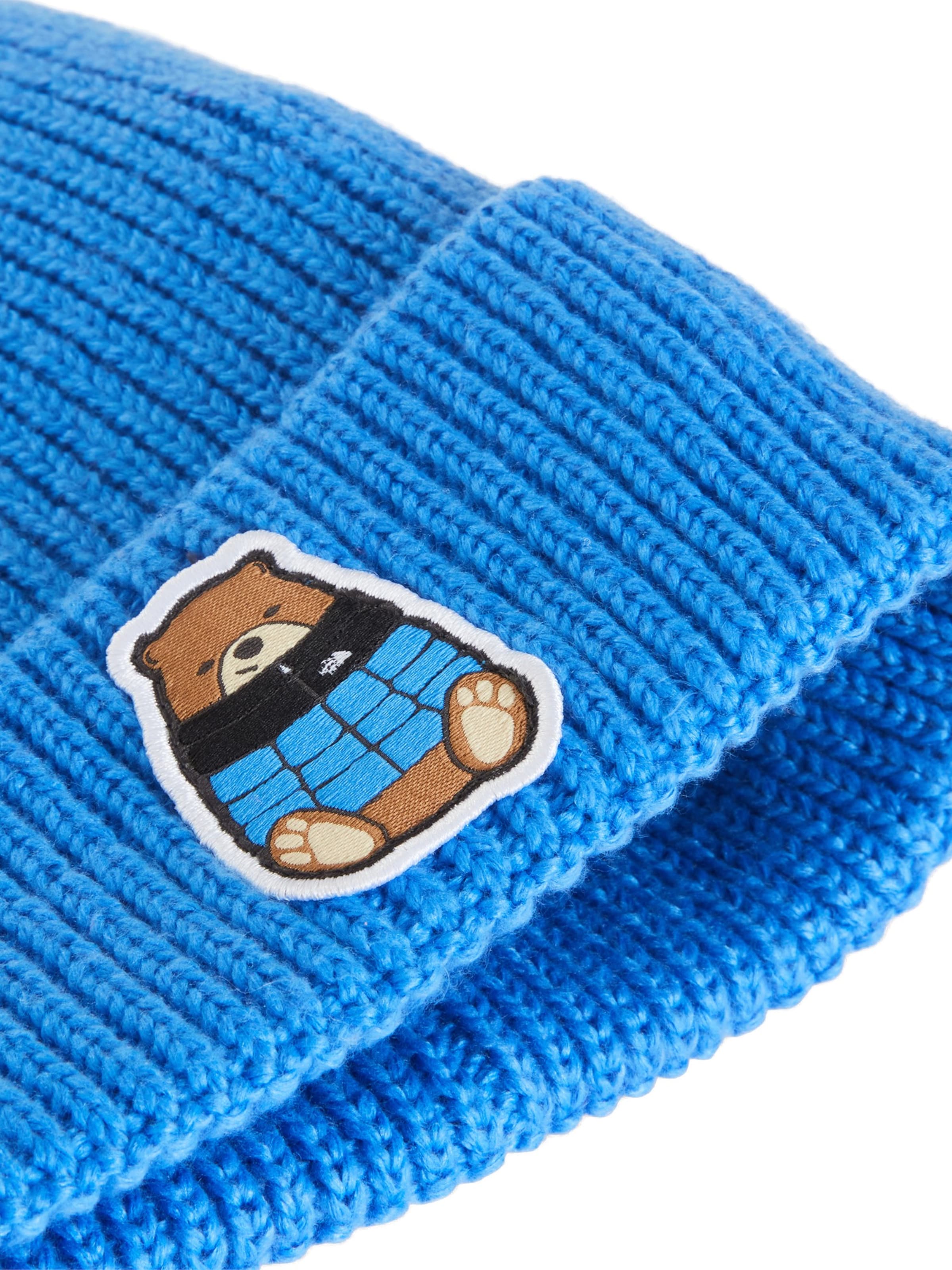 THE NORTH FACE Шапка в синьо