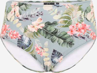 Swim by Zizzi Bikinihose 'CALINEA' in hellblau / mischfarben, Produktansicht