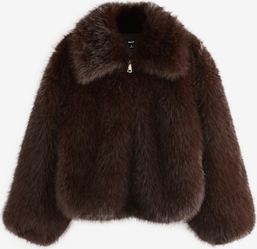 Next Winterjas in Bruin: voorkant