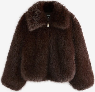 Next Talvitakki värissä suklaa, Tuotenäkymä