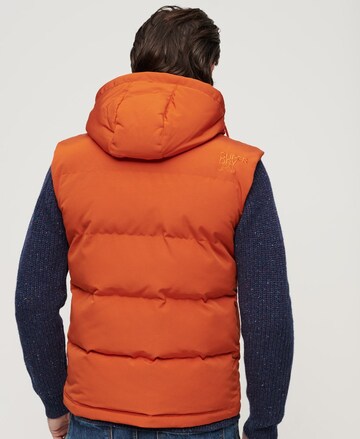 Superdry Weste in Orange