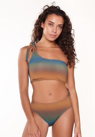 LingaDore Swimsuit in Brown: front