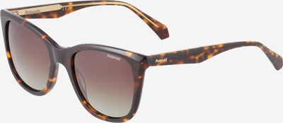 Polaroid Sonnenbrille '4096/S/X' in braun / orange, Produktansicht