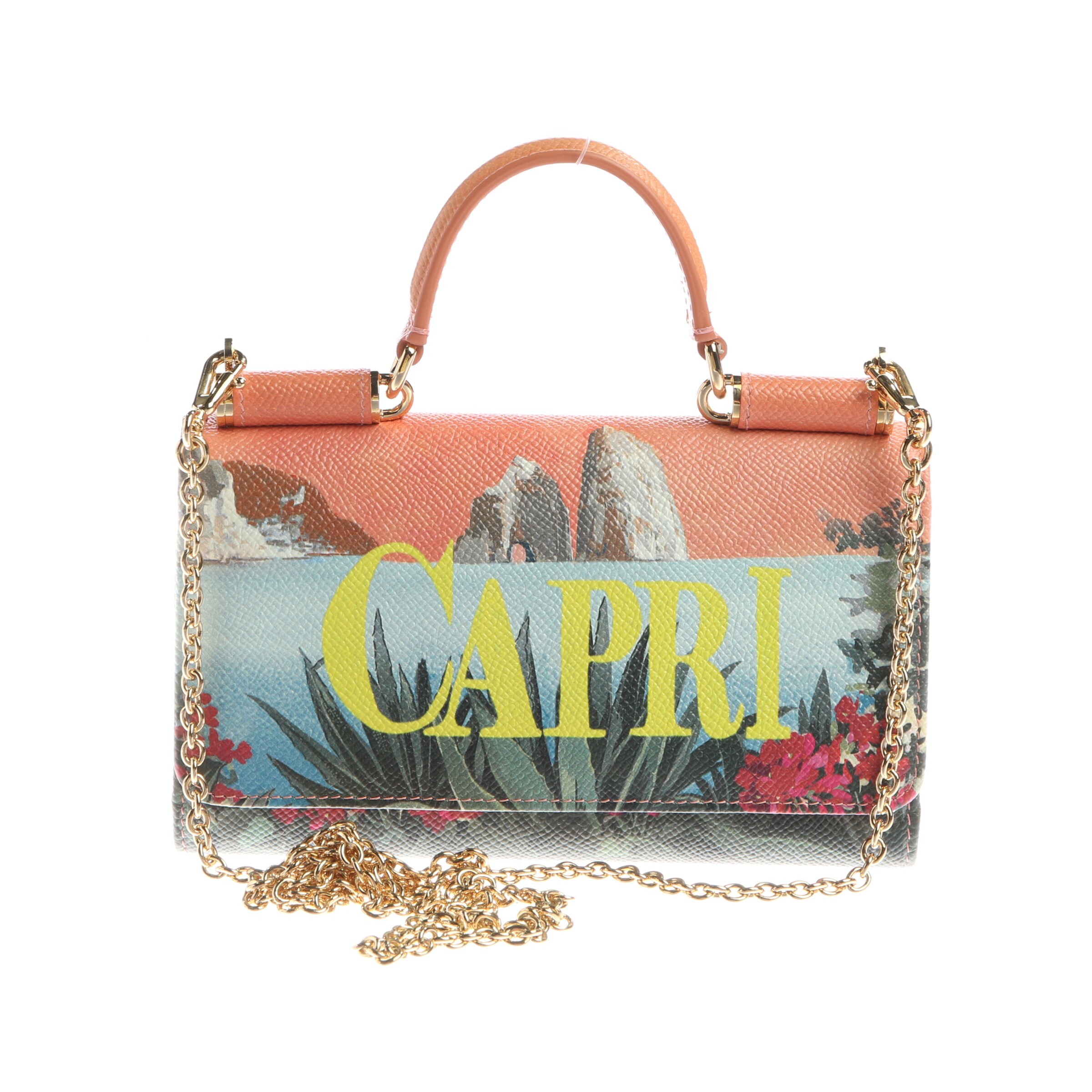 DOLCE & GABBANA Bag in One size in Mixed colors: front