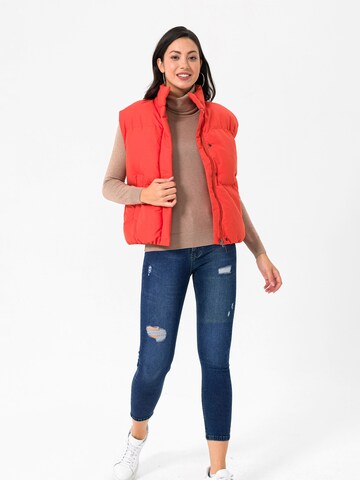 Gilet di Daniel Hills in arancione