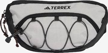 pelēks ADIDAS TERREX Sporta jostas soma: no priekšpuses