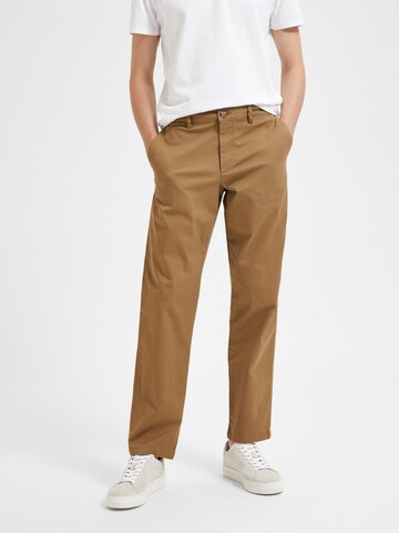 Regular Pantalon chino 'New Miles' SELECTED HOMME en marron : devant