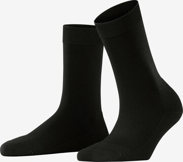 FALKE Socken 'ClimaWool' in Braun: Vorderseite