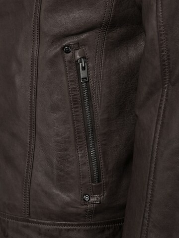 JCC Tussenjas in Bruin