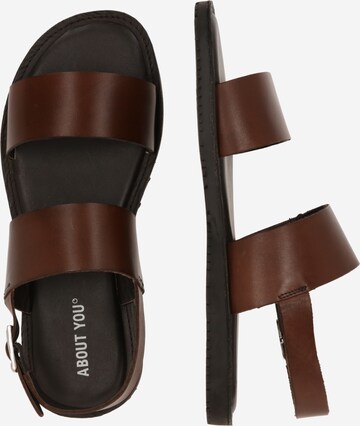 ABOUT YOU Sandals 'Jesper Sandal' in Brown