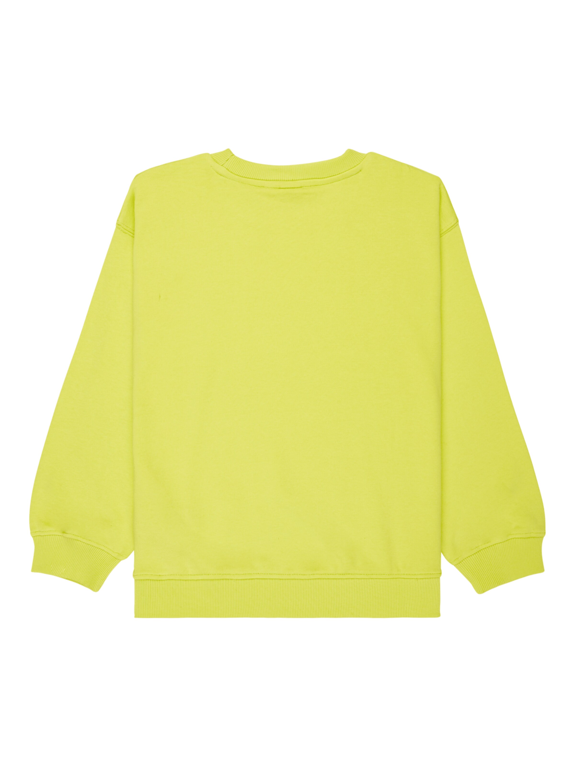 ROXY Sweatshirt 'Morning Hike' in Green