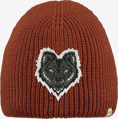 Barts Beanie in Brown / Grey, Item view