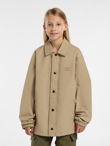 DICKIES Between-season jacket 'Youth Oakport' in Green