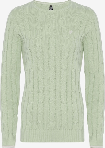 DENIM CULTURE Sweater 'KENDALL' in Green: front