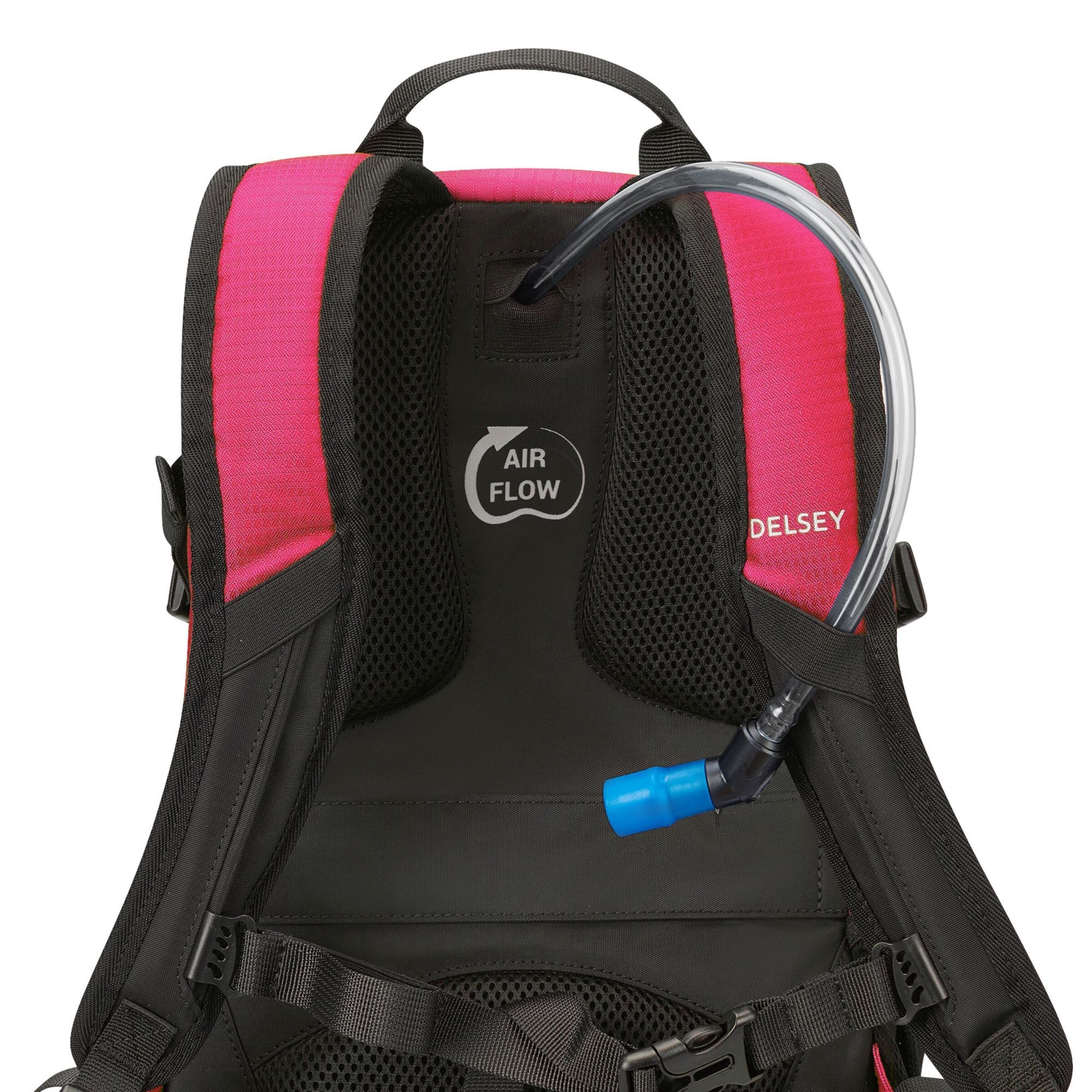 Delsey Paris Backpack in Pink