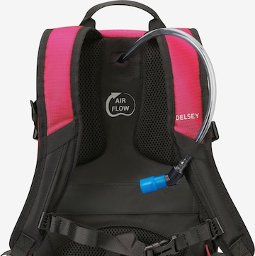 Delsey Paris Backpack in Pink