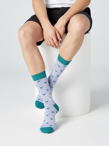 The Arctic Bay Socken 'ZEFYR EDITION Gift box 4 Pack Unisex'‌‌‌‌‌ in Mischfarben