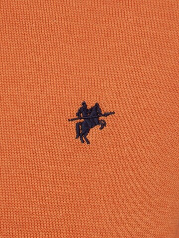 Pullover ' Manno' di DENIM CULTURE in arancione