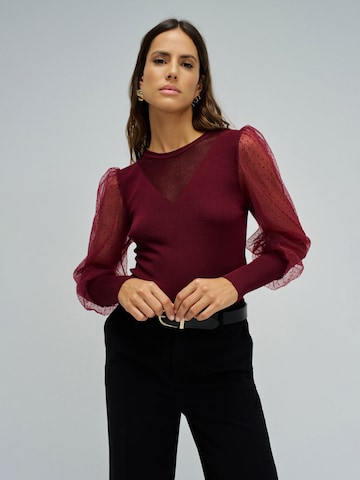 Salsa Jeans Trui in Rood