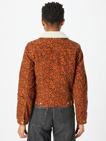 LEVI'S ® Overgangsjakke 'Orig Sherpa Collar Trkr' i brun