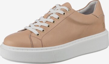 Baskets basses Apple of Eden en beige : devant