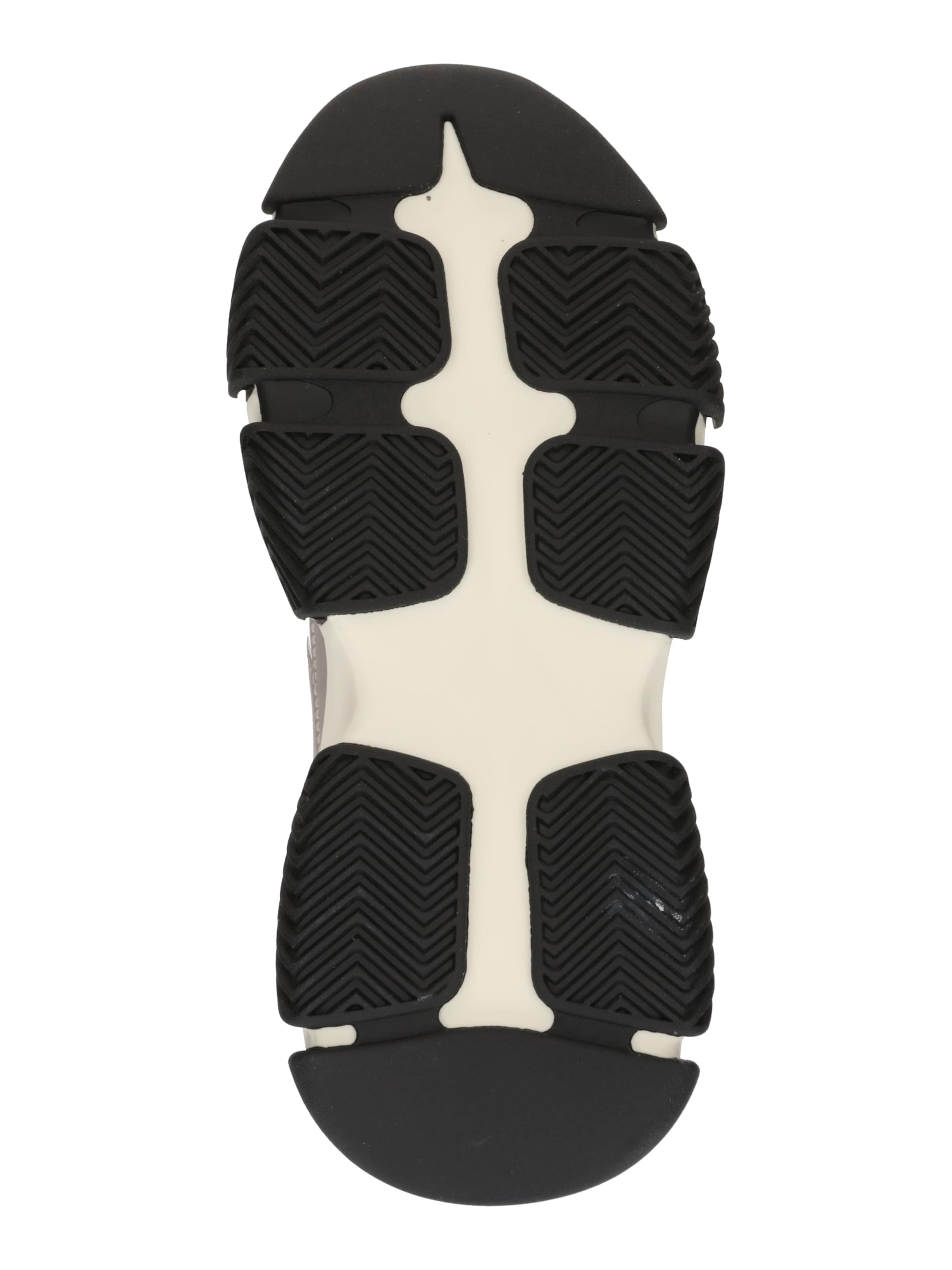 STEVE MADDEN Nizke superge 'Dragon' | siva barva: spodaj