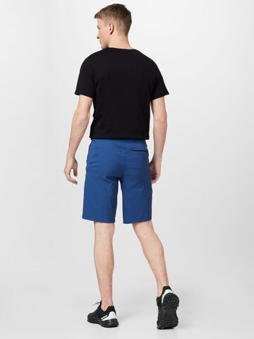 Regular Pantaloni sport de la THE NORTH FACE pe albastru