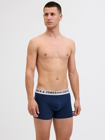 JACK & JONES Boxer shorts 'JACBLUEISH' in Blue: front