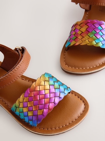 Sandales Next en mélange de couleurs