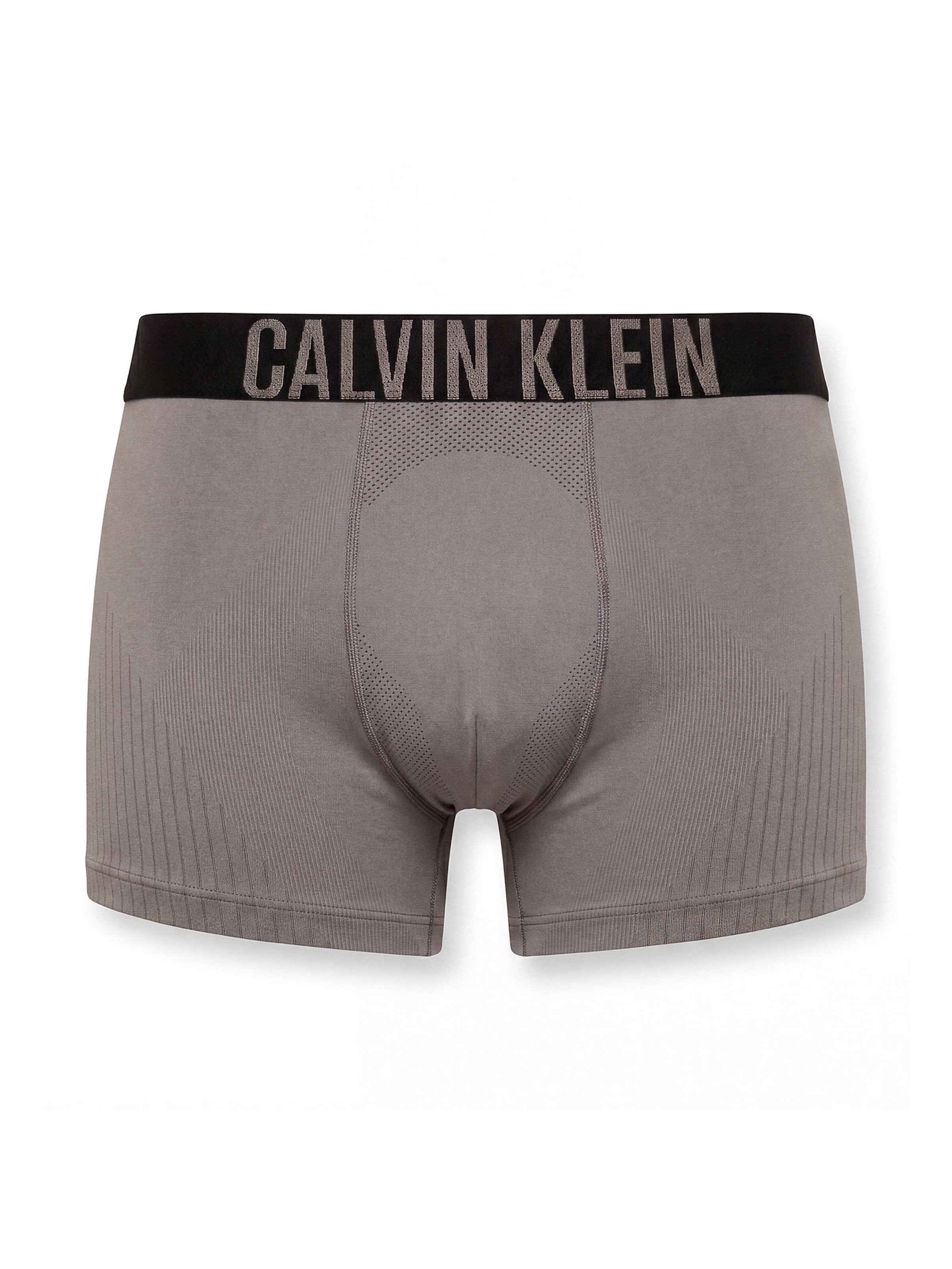 Boxers 'Intense Power Pro' Calvin Klein en gris : devant