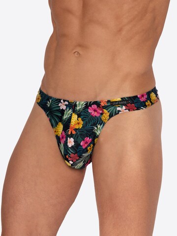 Maillot de bain ' BLU2553 Sunstring ' Olaf Benz en vert : devant