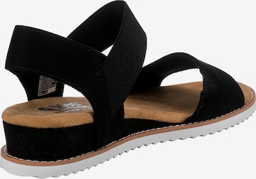 SKECHERS Strap Sandals 'Desert Kiss' in Black