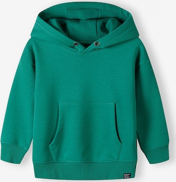 MINOTI Sweatshirt in Groen: voorkant