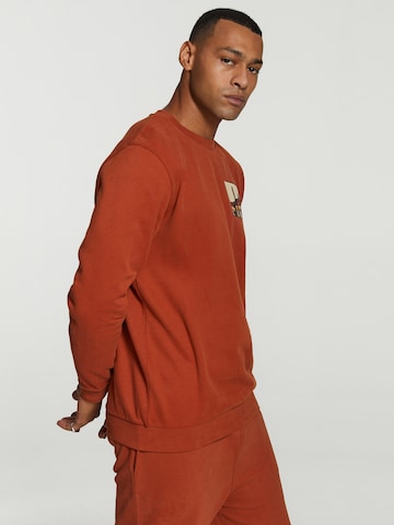 Sweat-shirt Shiwi en marron