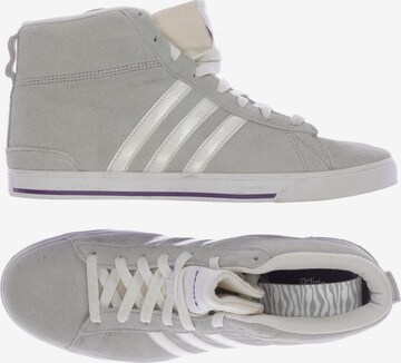 ADIDAS NEO Sneakers Trainers in 40 5 in Grey ABOUT YOU