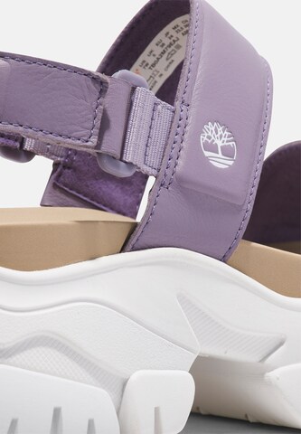 TIMBERLAND Strap sandal 'Adley' in Purple